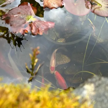 度假居 Near Pulpit Rock